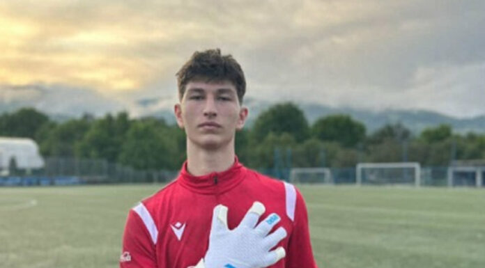 ქართველი ემიგრანტის ახდენილი ოცნება ქართველი ემიგრანტი