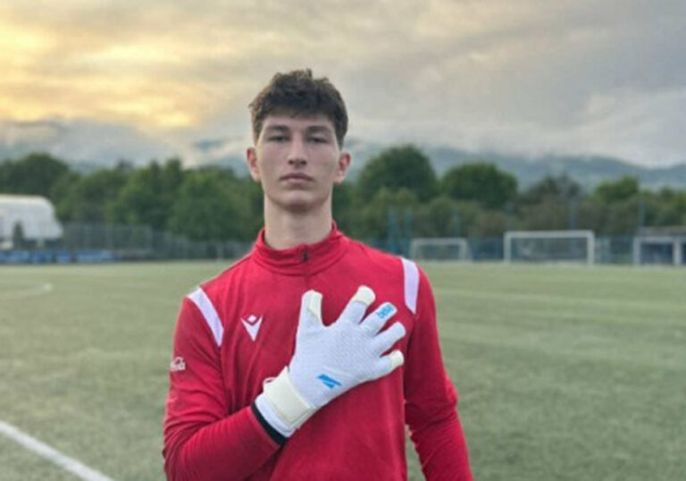 ქართველი ემიგრანტი